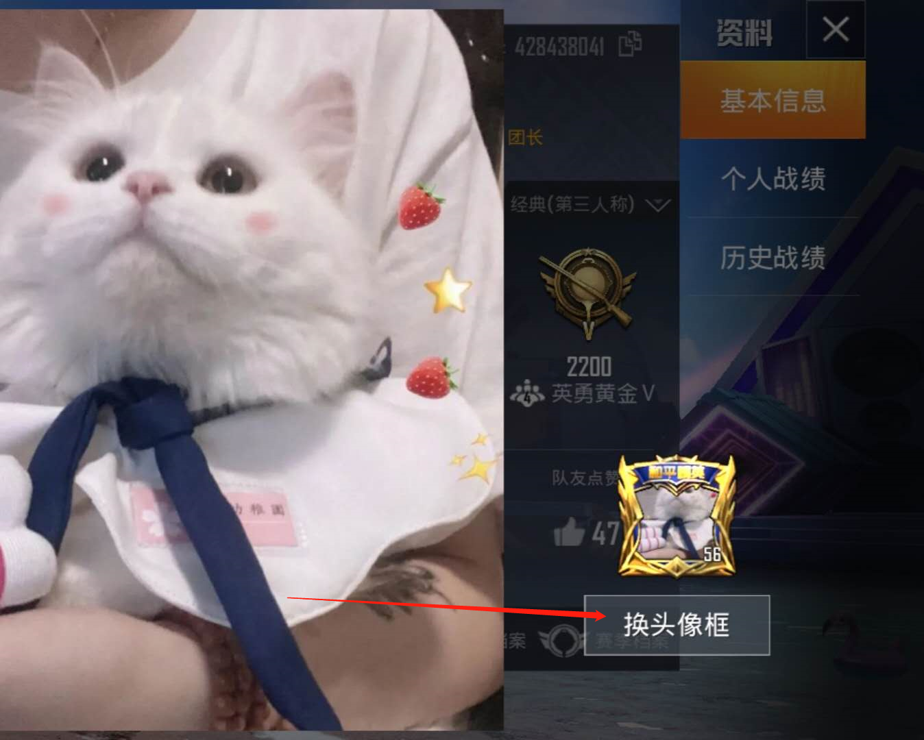 和平精英怎么改名字女生_和平精英怎么改名字女生可爱  第1张