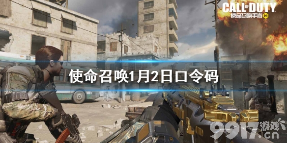 使命召唤手游口令码最新_使命召唤手游口令码最新2023  第2张
