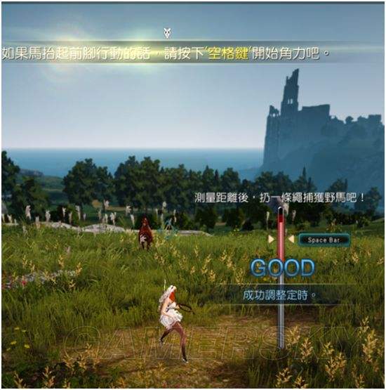 黑色沙漠旅行者的马(黑色沙漠旅行的休息任务)  第1张