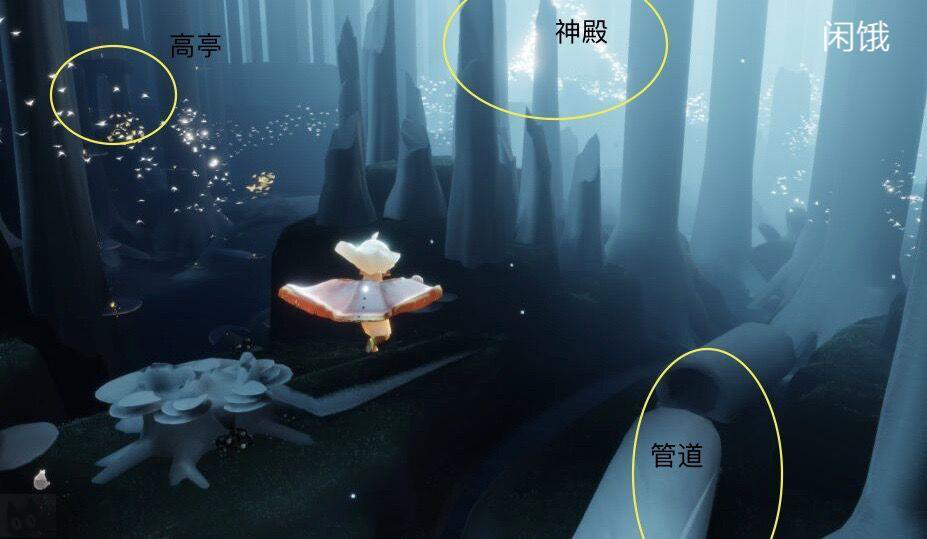 光遇静谧庭院在哪个位置_光遇每日任务静谧庭院外在哪  第1张