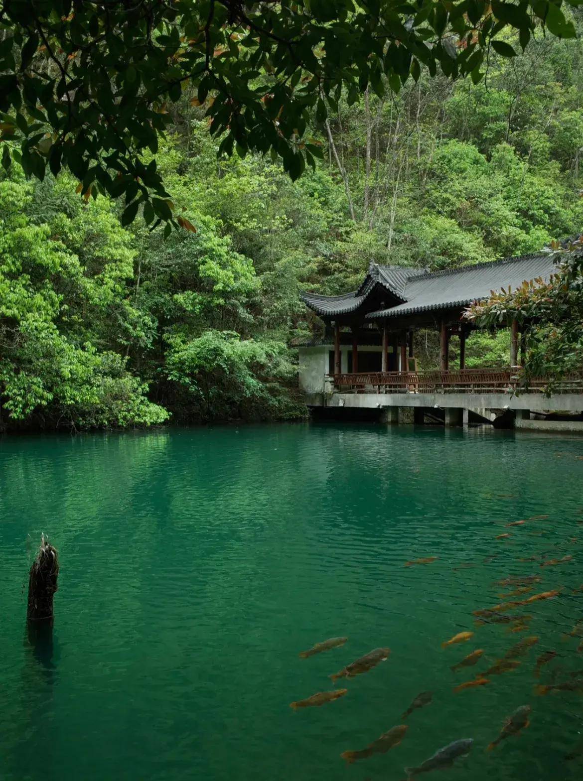 丽水最值得去的三个景点(丽水最值得去的三个景点是哪里)  第1张