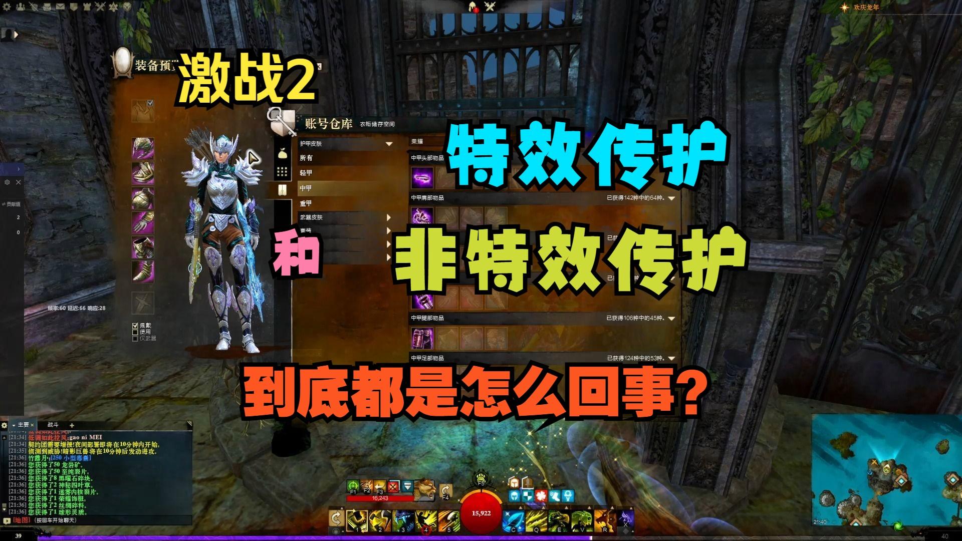 激战2多少钱能抽到传护，激战2第一套传护做什么好  第1张