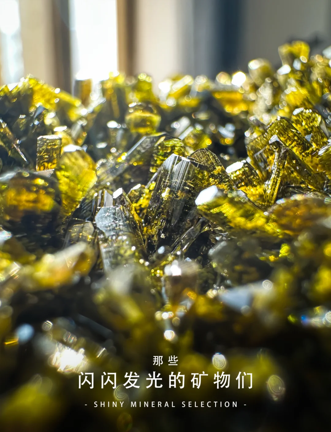 魔力百科宝石_魔力百科12技能  第2张