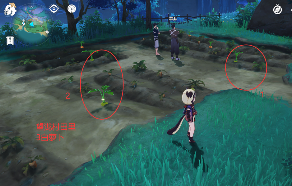 原神白萝卜(原神白萝卜怎么获得)  第2张
