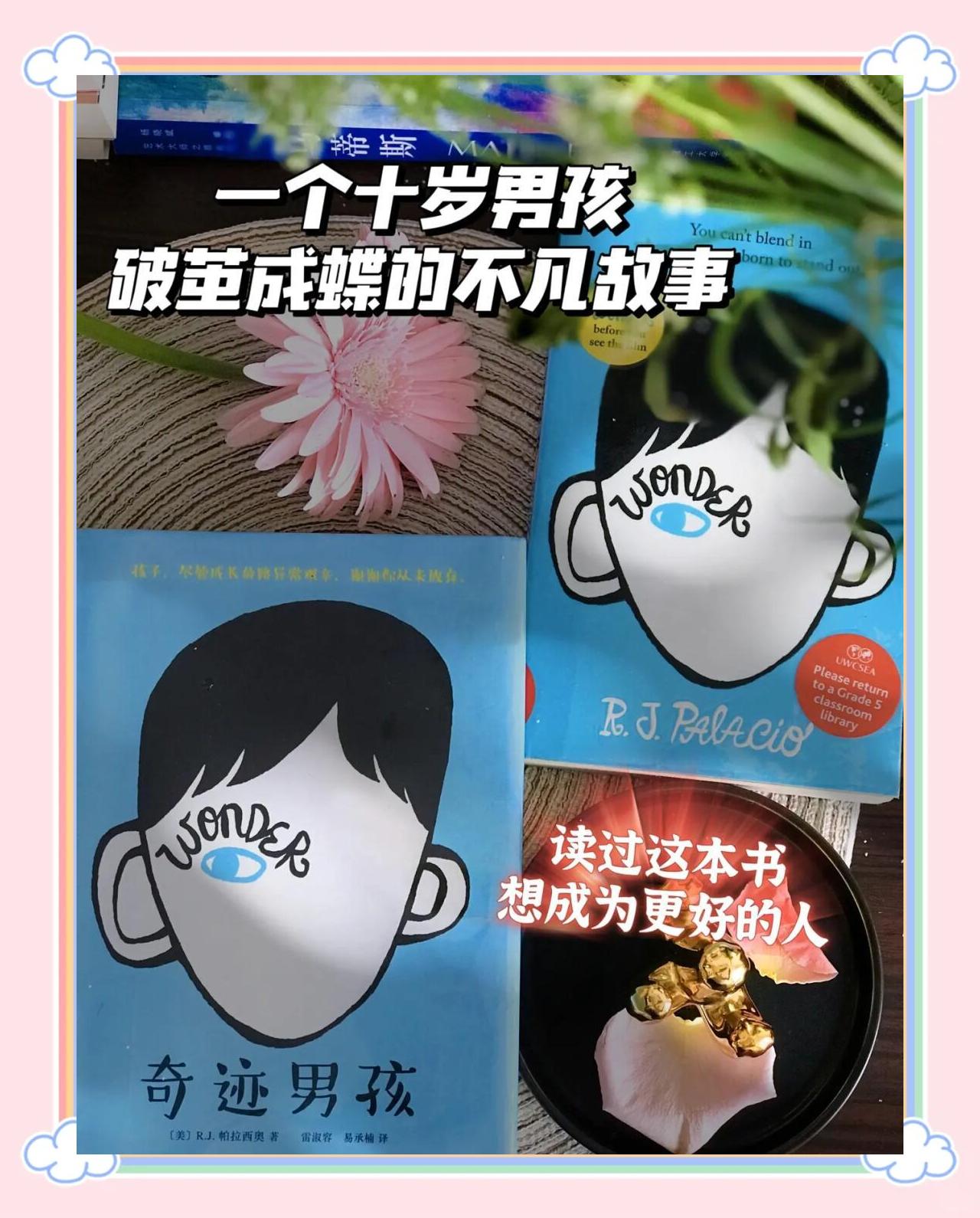 奇迹男孩观后感500字，奇迹男孩观后感500字作文