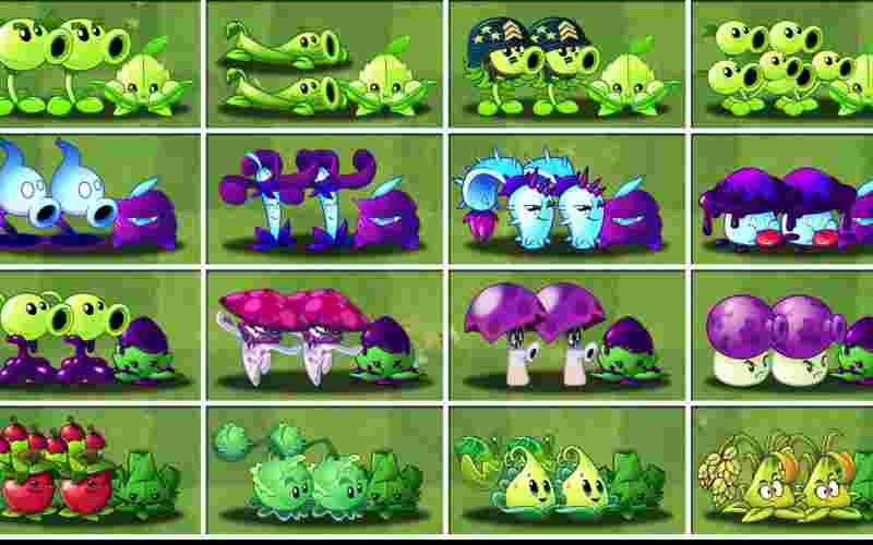 植物大战僵尸2植物图鉴最全(植物大战僵尸2植物图鉴2021)  第2张