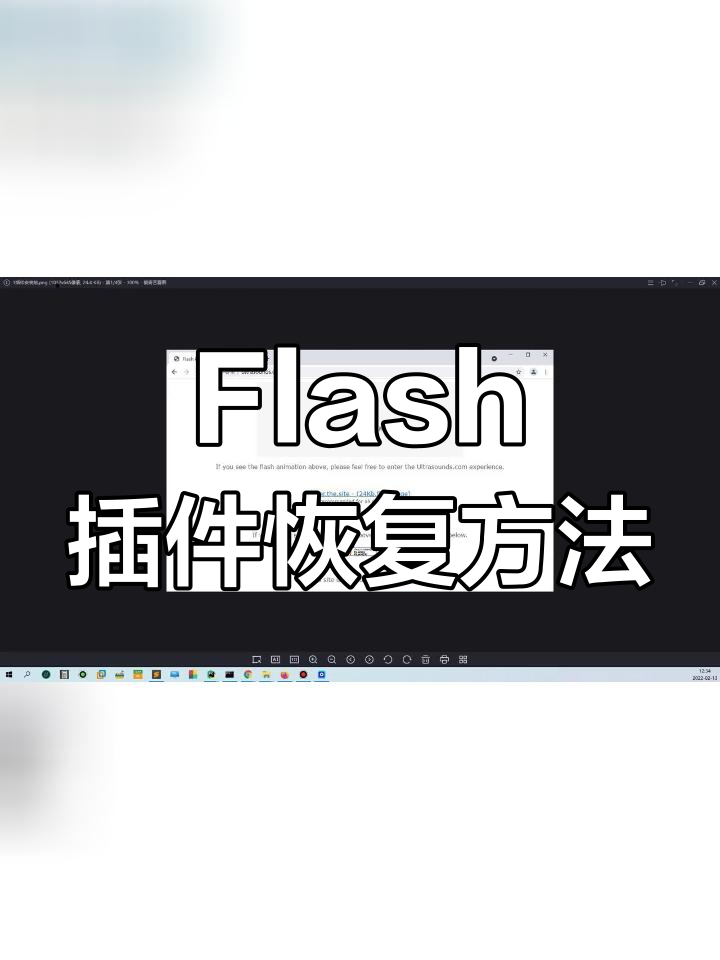 flash插件不能正常运行(flash插件出现异常怎么办)